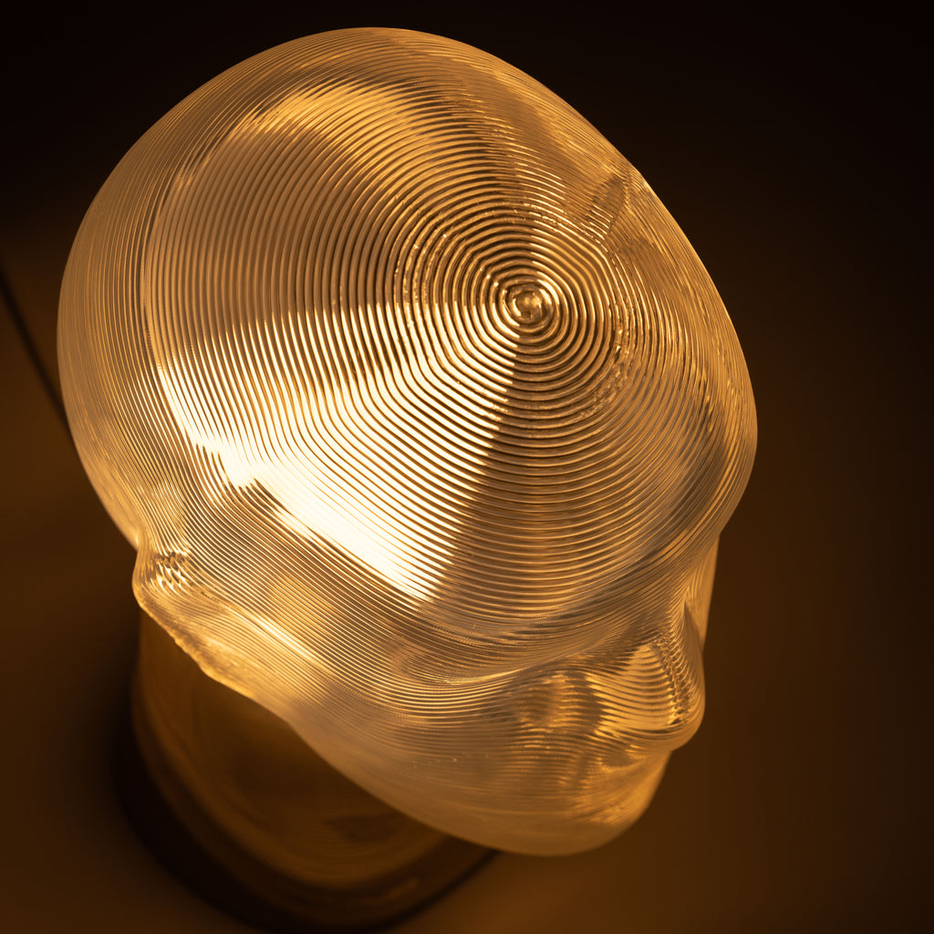 SP 2.0 Self Portrait lamp